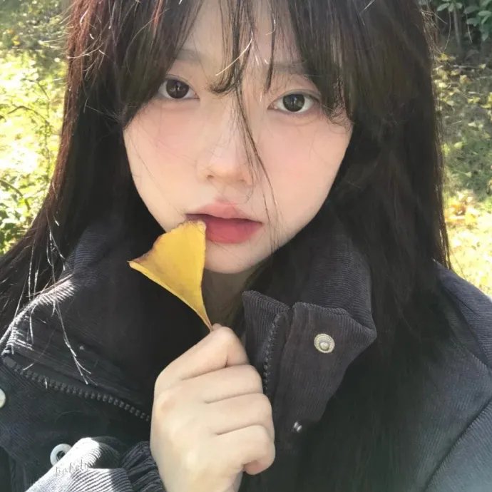 这只是鸟